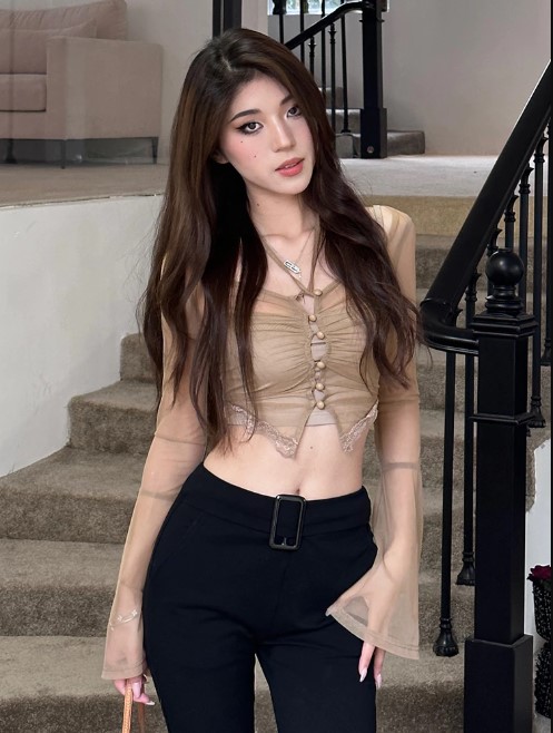 Long Sleeve Blouse Crop Top with Neckline